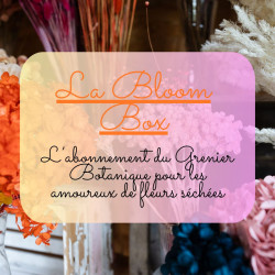 Abonnement fleurs séchées