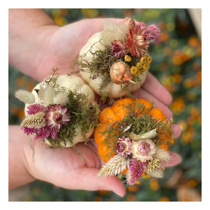 Atelier fleurs séchées