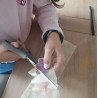 Atelier floral pour enfant
